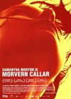 Morvern Callar (2002)3.jpg